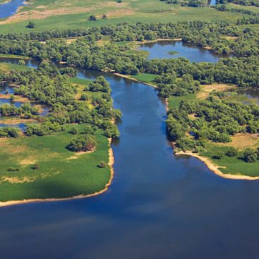 Danube Delta - aerial shot of chanals and extensive reedbeds - The largest reedbed in the world - Tulcea County - Romania